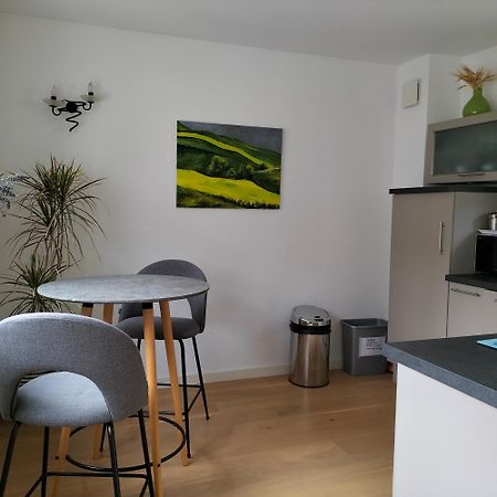 Appartement Salamandre Орлеан Екстер'єр фото