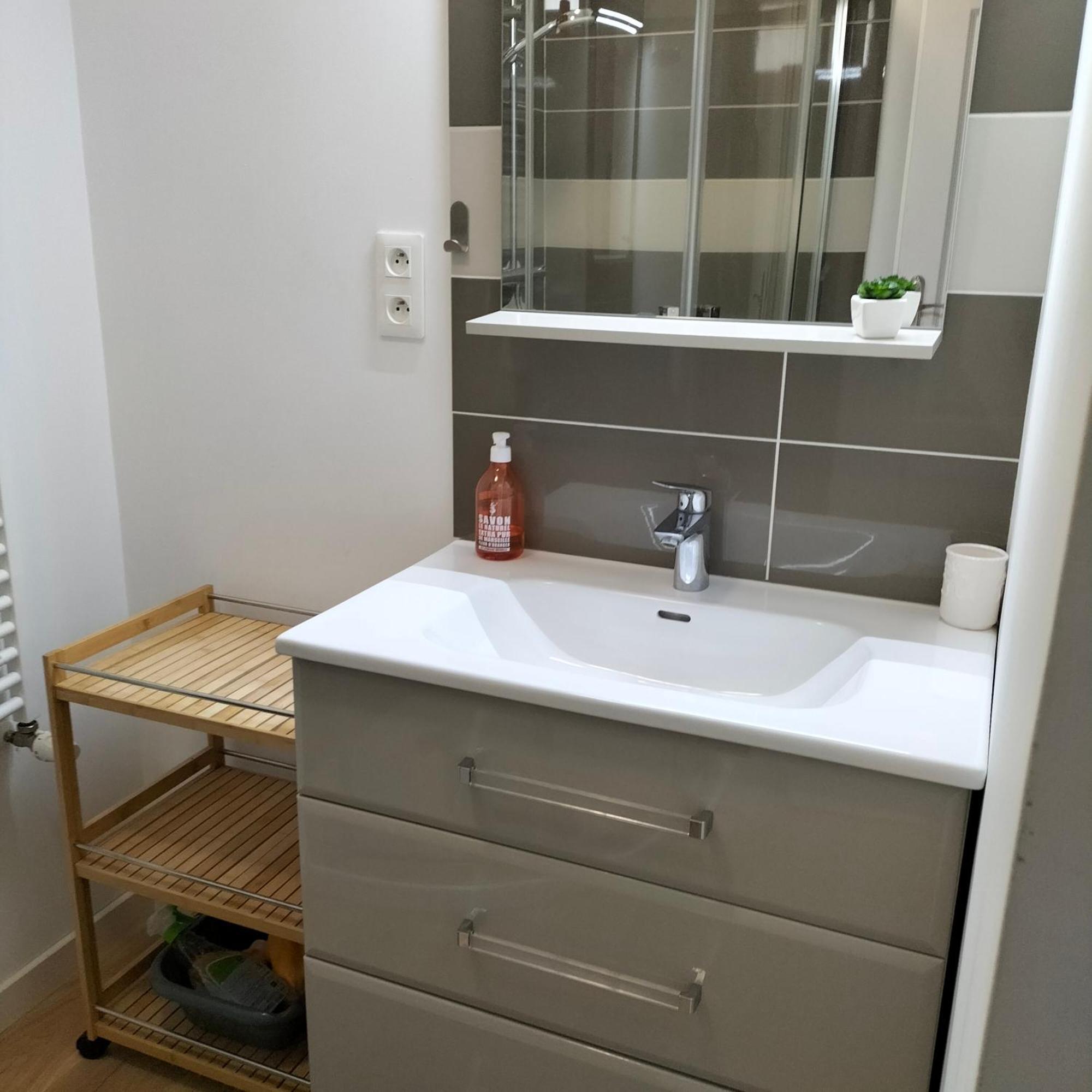 Appartement Salamandre Орлеан Екстер'єр фото